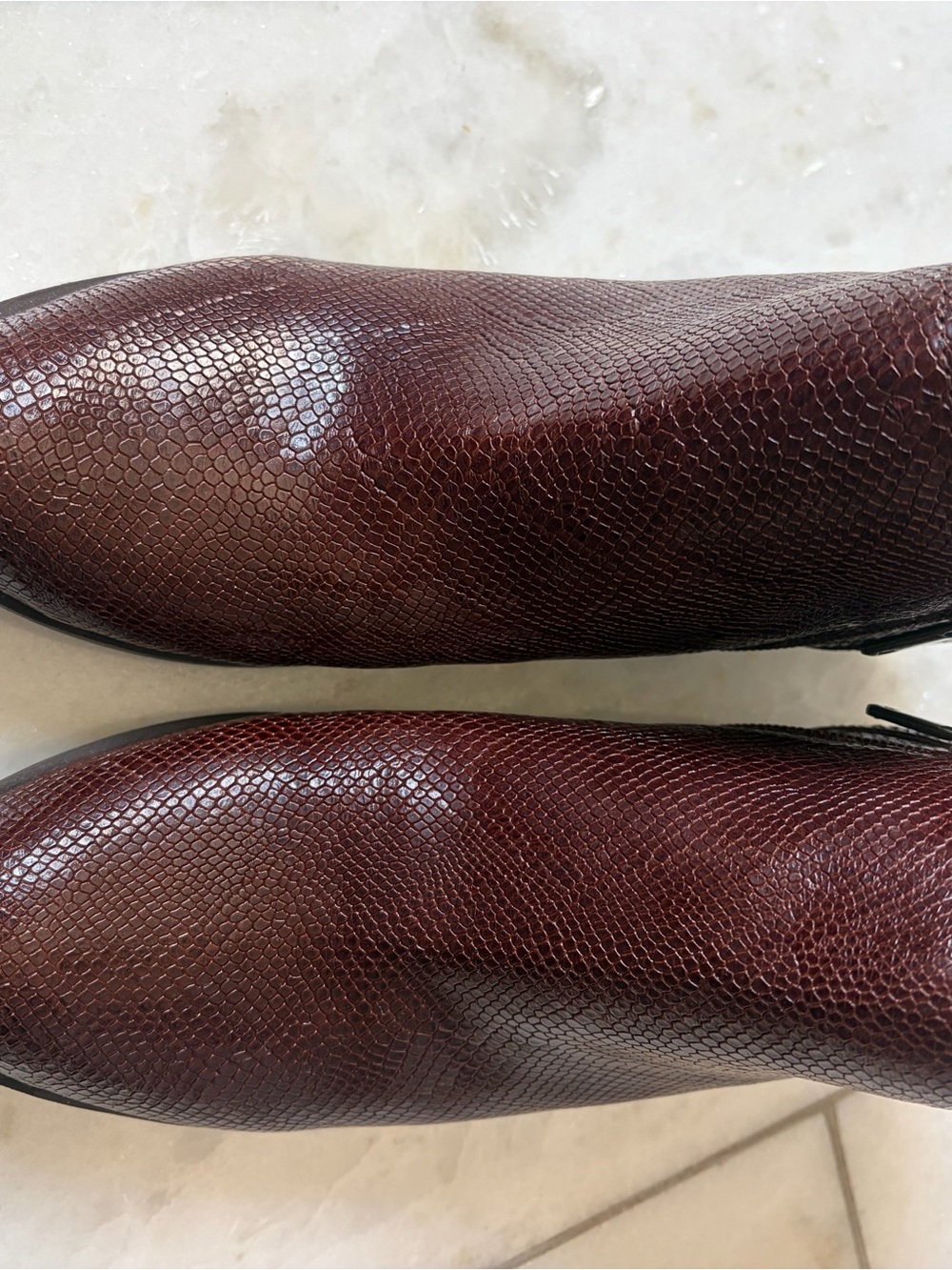 Women’s Burgundy Faux-Snakeskin Lucky Brand Booties